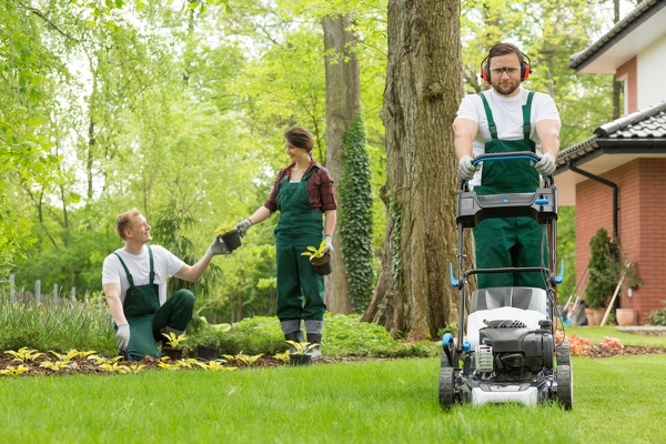 Landscaping Contractor